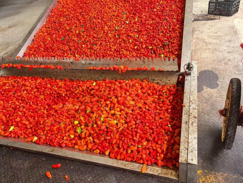 工业辣椒精对身体有害吗