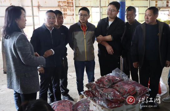 老厂乡赴麒麟区东山镇考察辣椒种植加工 点燃产业振兴新希望